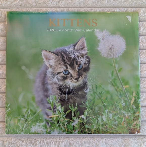 Other - ✳️ FREE w/ Bundle - Kittens 2026 Wall Calendar